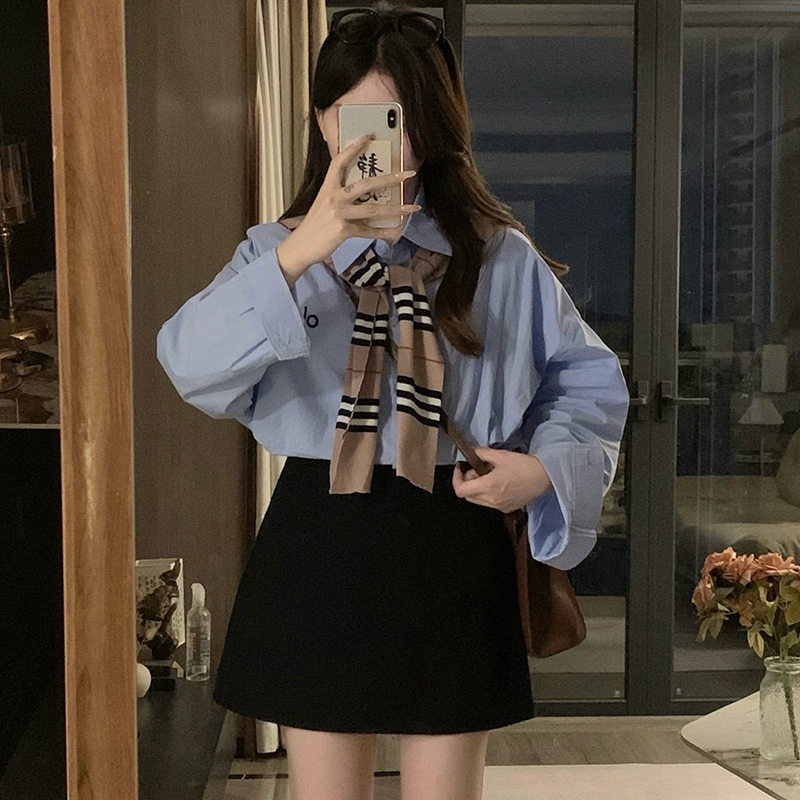 Embroidery loose shirt long sleeve pure cotton coat for women