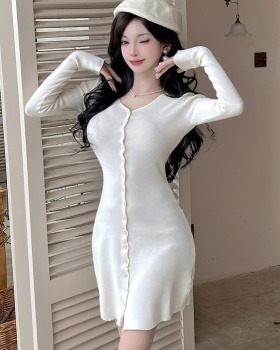 Long sleeve enticement A-line slim dress for women