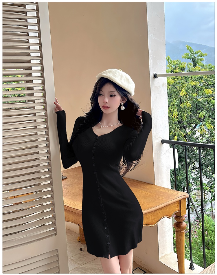 Long sleeve enticement A-line slim dress for women