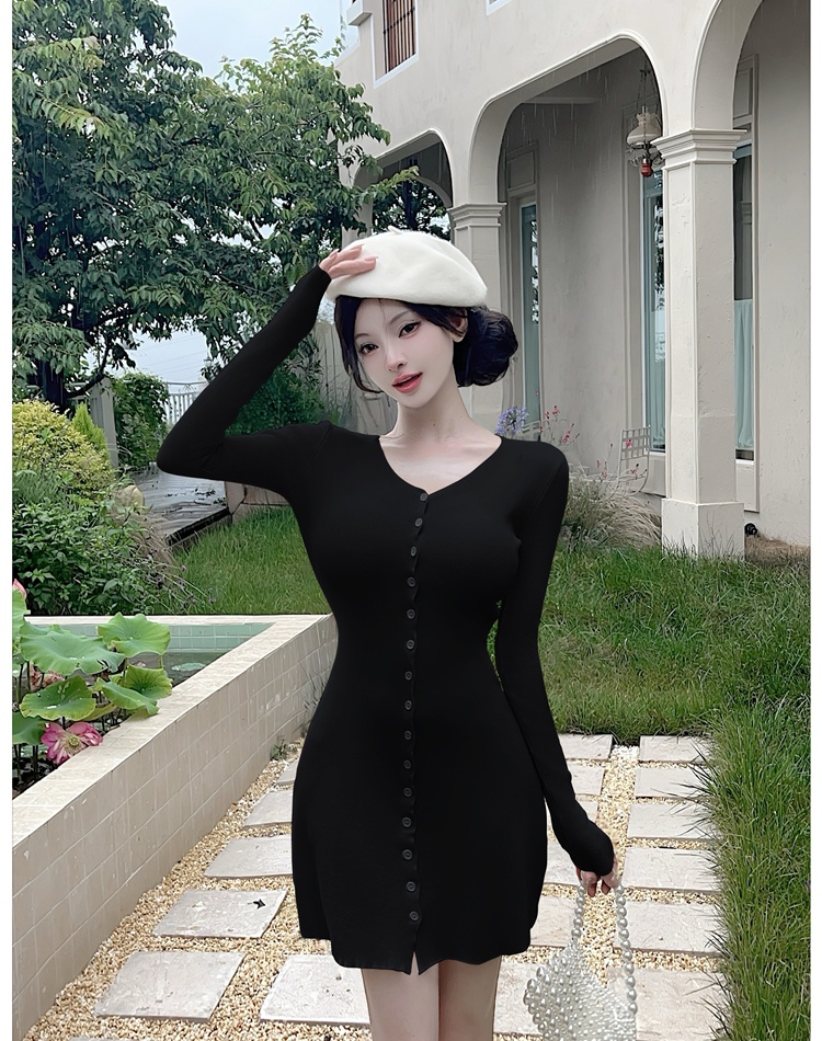Long sleeve enticement A-line slim dress for women