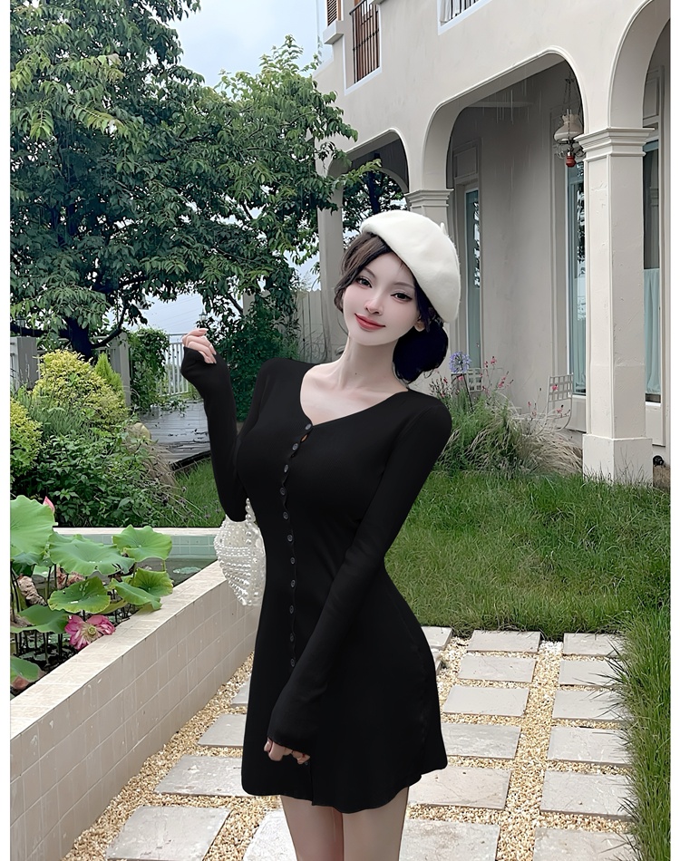Long sleeve enticement A-line slim dress for women