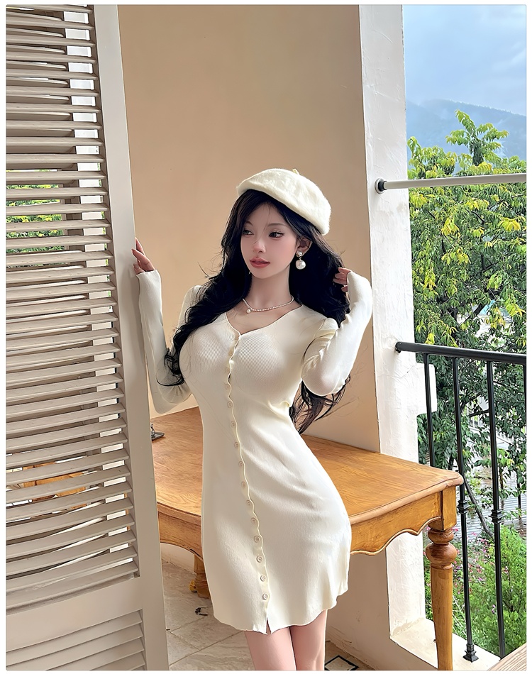 Long sleeve enticement A-line slim dress for women