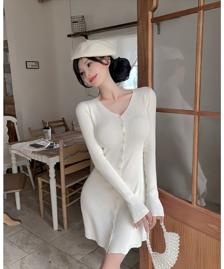 Long sleeve enticement A-line slim dress for women