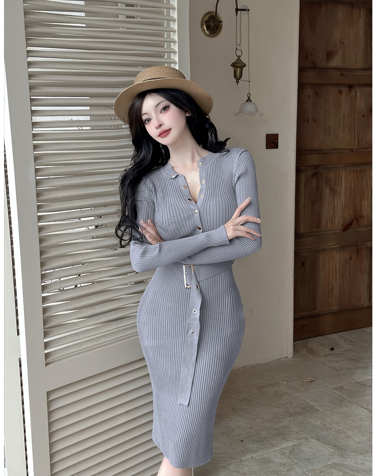 Round neck package hip autumn slim dress for women