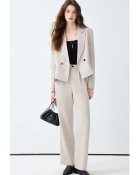 Spring suit pants temperament business suit 2pcs set for women