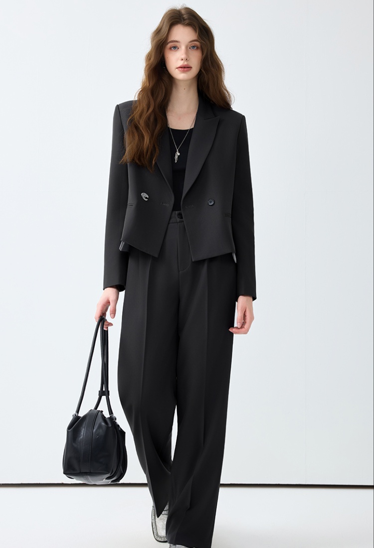 Spring suit pants temperament business suit 2pcs set for women