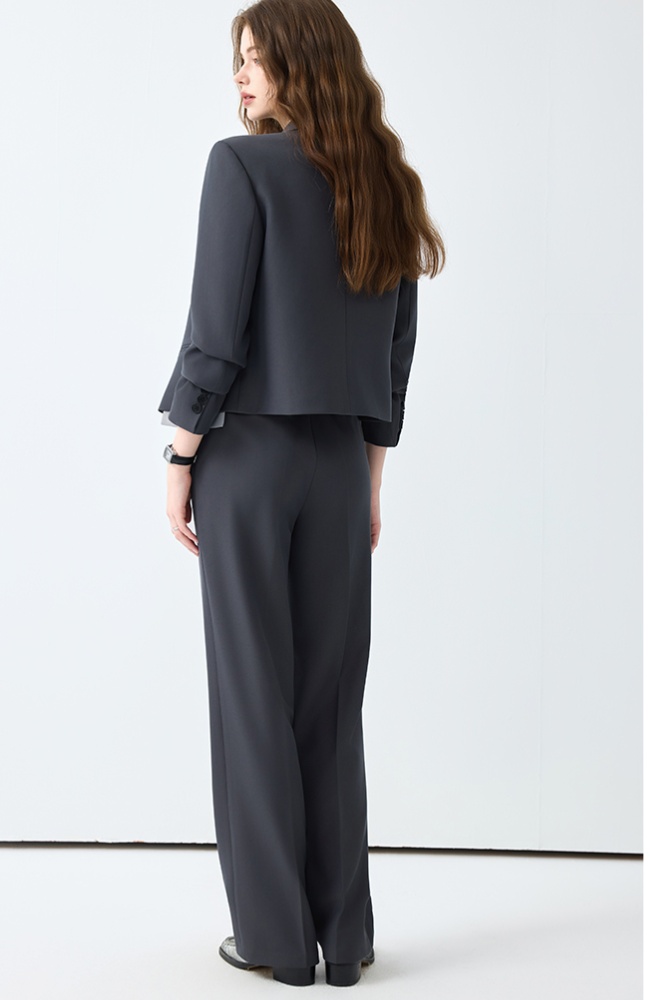 Spring suit pants temperament business suit 2pcs set for women