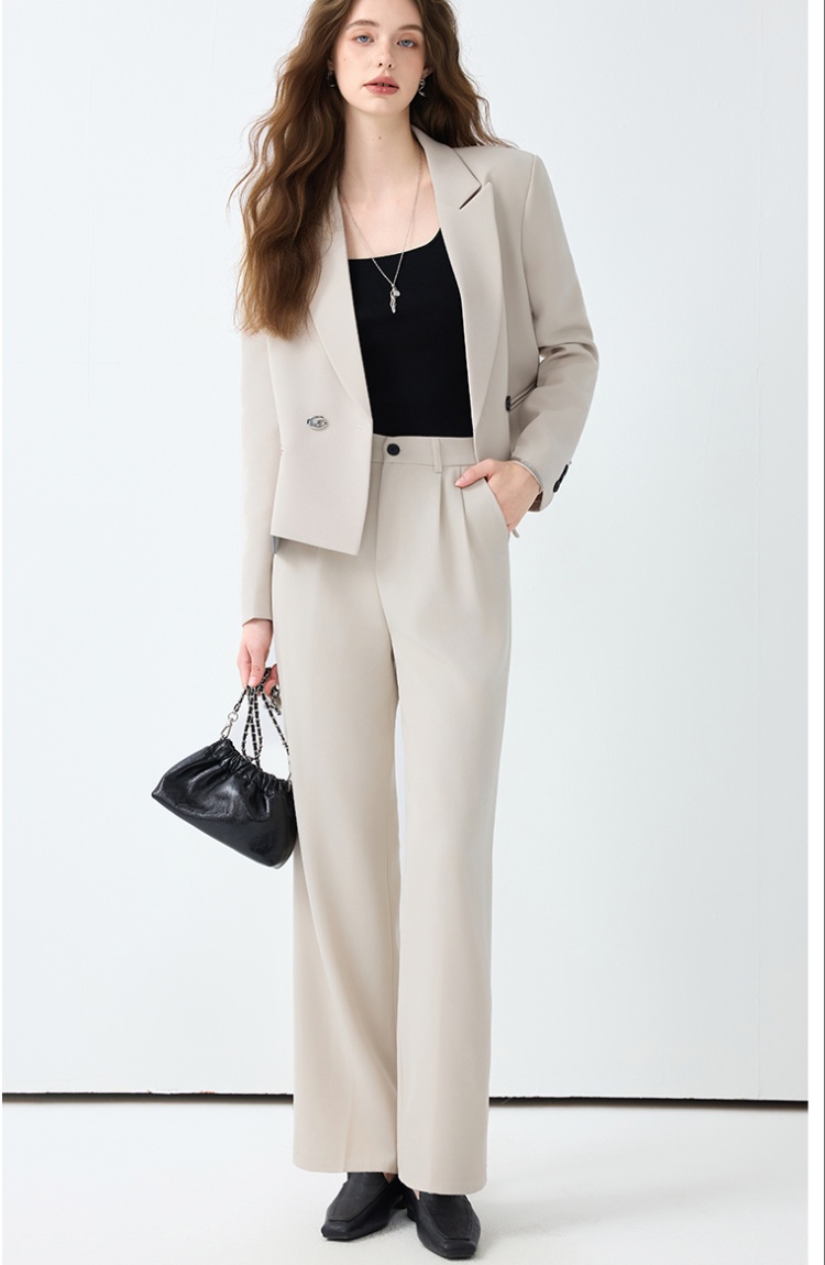 Spring suit pants temperament business suit 2pcs set for women