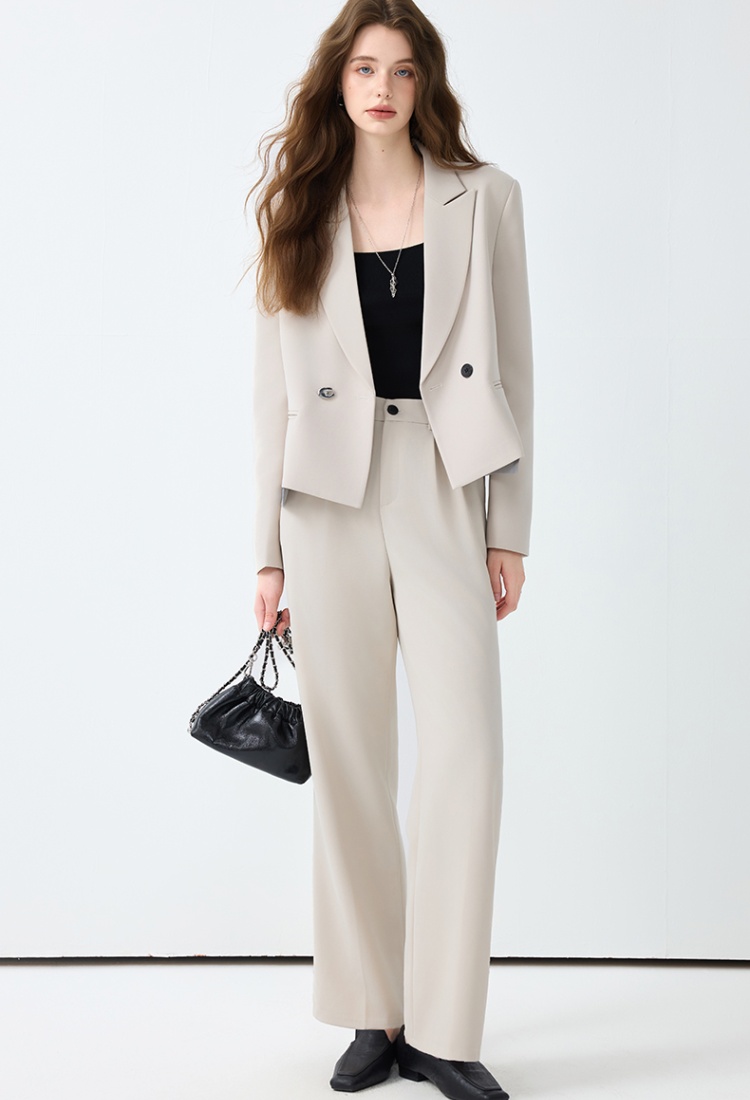 Spring suit pants temperament business suit 2pcs set for women