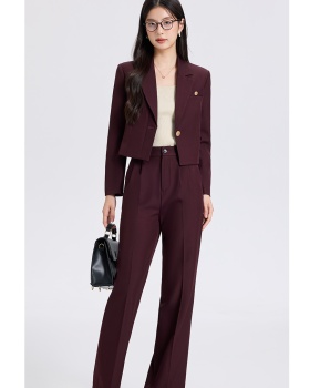 Spring business suit suit pants 2pcs set for women