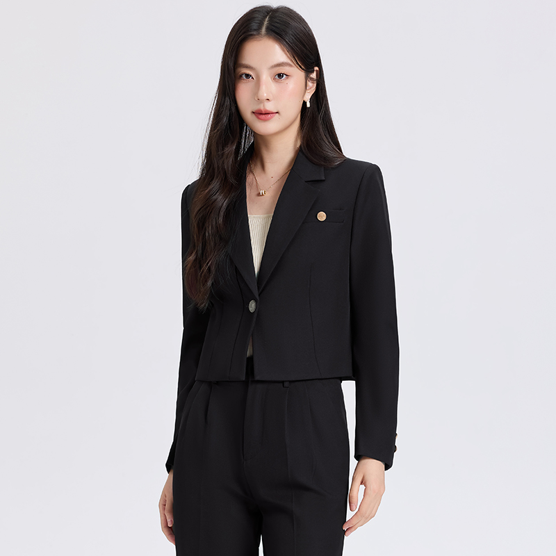 Spring business suit suit pants 2pcs set for women