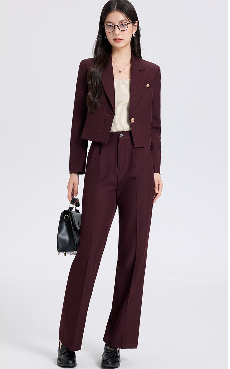 Spring business suit suit pants 2pcs set for women