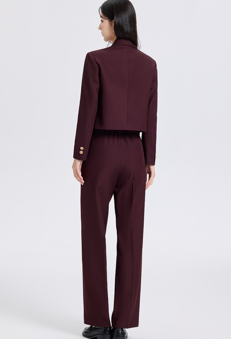 Spring business suit suit pants 2pcs set for women