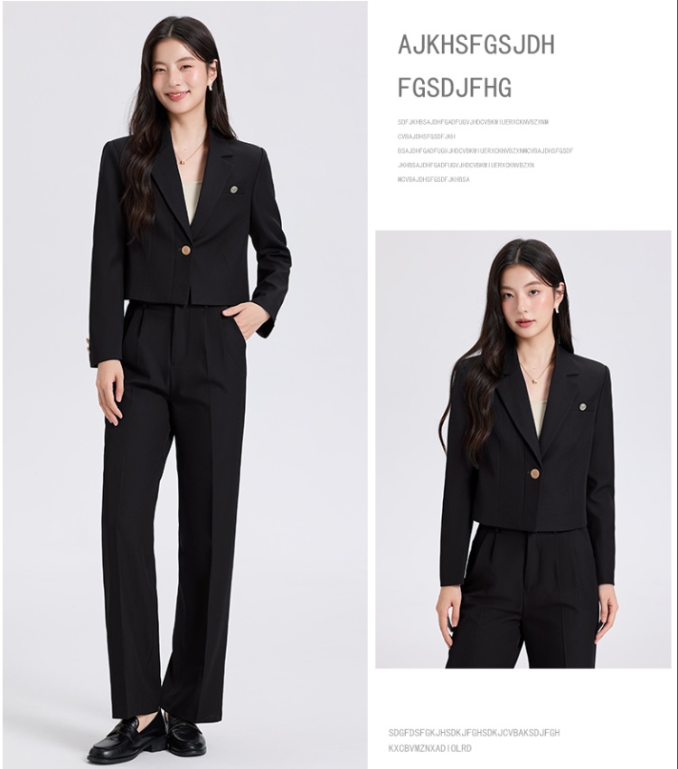 Spring business suit suit pants 2pcs set for women