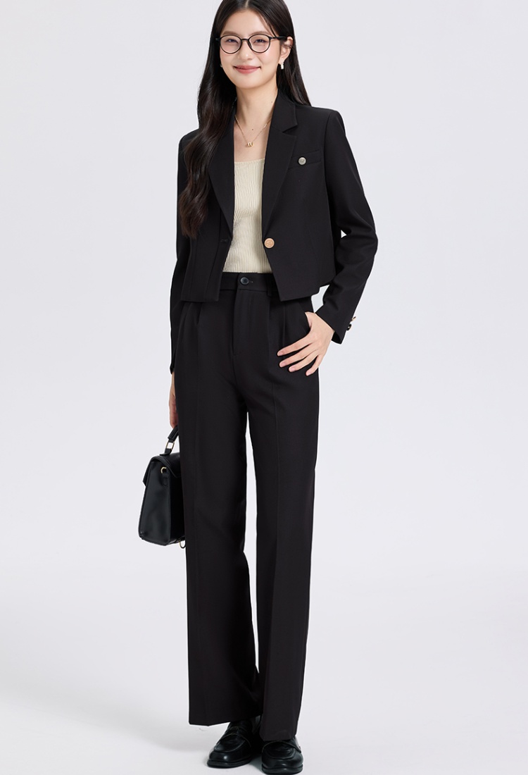 Spring business suit suit pants 2pcs set for women
