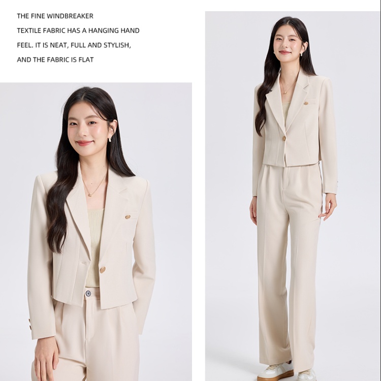Spring business suit suit pants 2pcs set for women