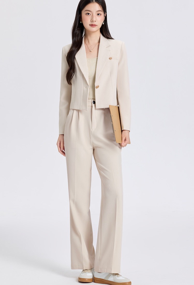Spring business suit suit pants 2pcs set for women