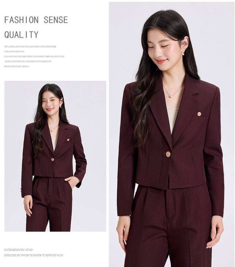 Spring business suit suit pants 2pcs set for women