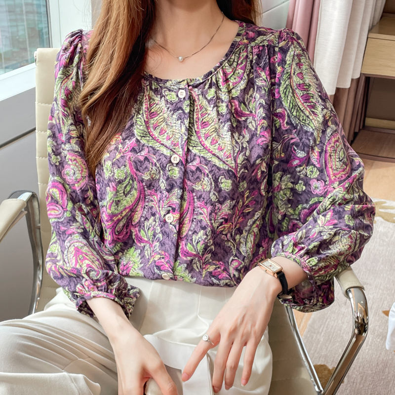 Loose autumn shirt long sleeve chiffon small shirt