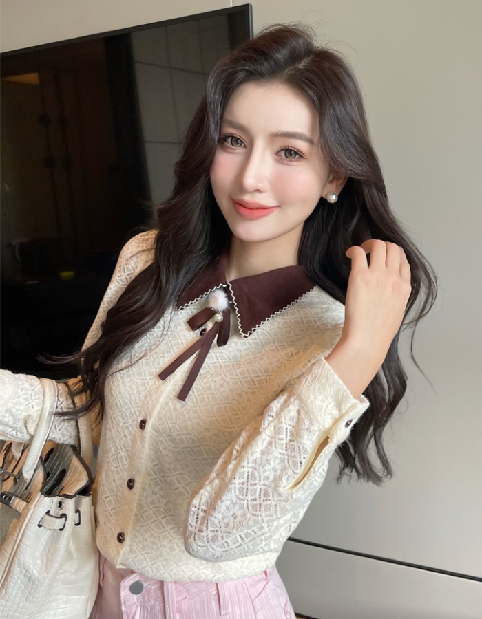 Long sleeve lapel temperament commuting shirt for women