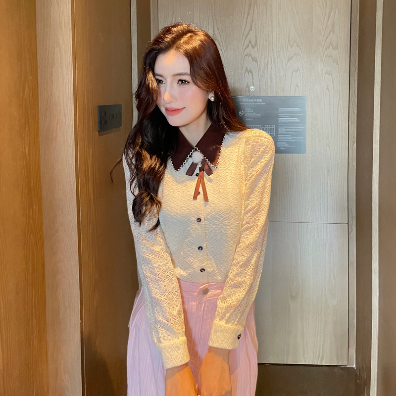 Long sleeve lapel temperament commuting shirt for women
