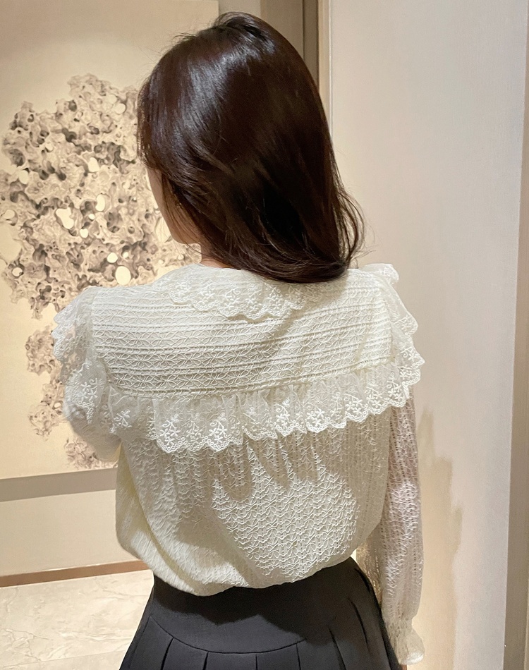 Long sleeve all-match small shirt lace shirt for women