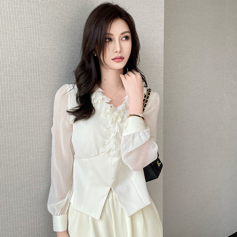 Commuting V-neck chiffon shirt temperament tops