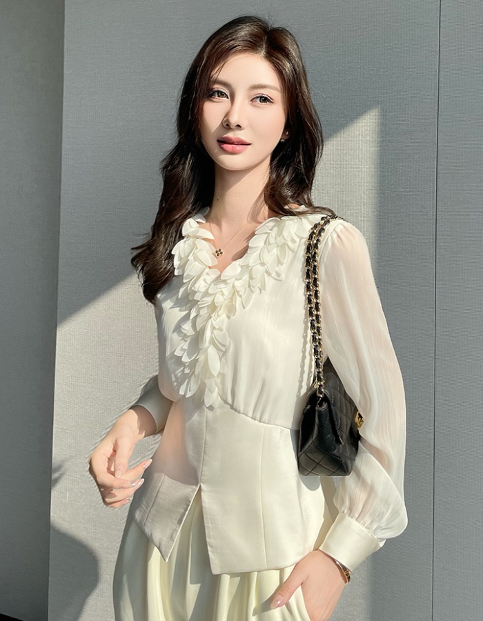 Commuting V-neck chiffon shirt temperament tops