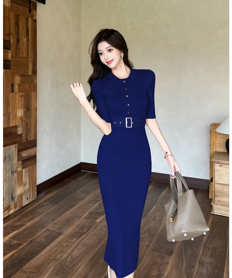 Pinched waist dress with belt long dress for women