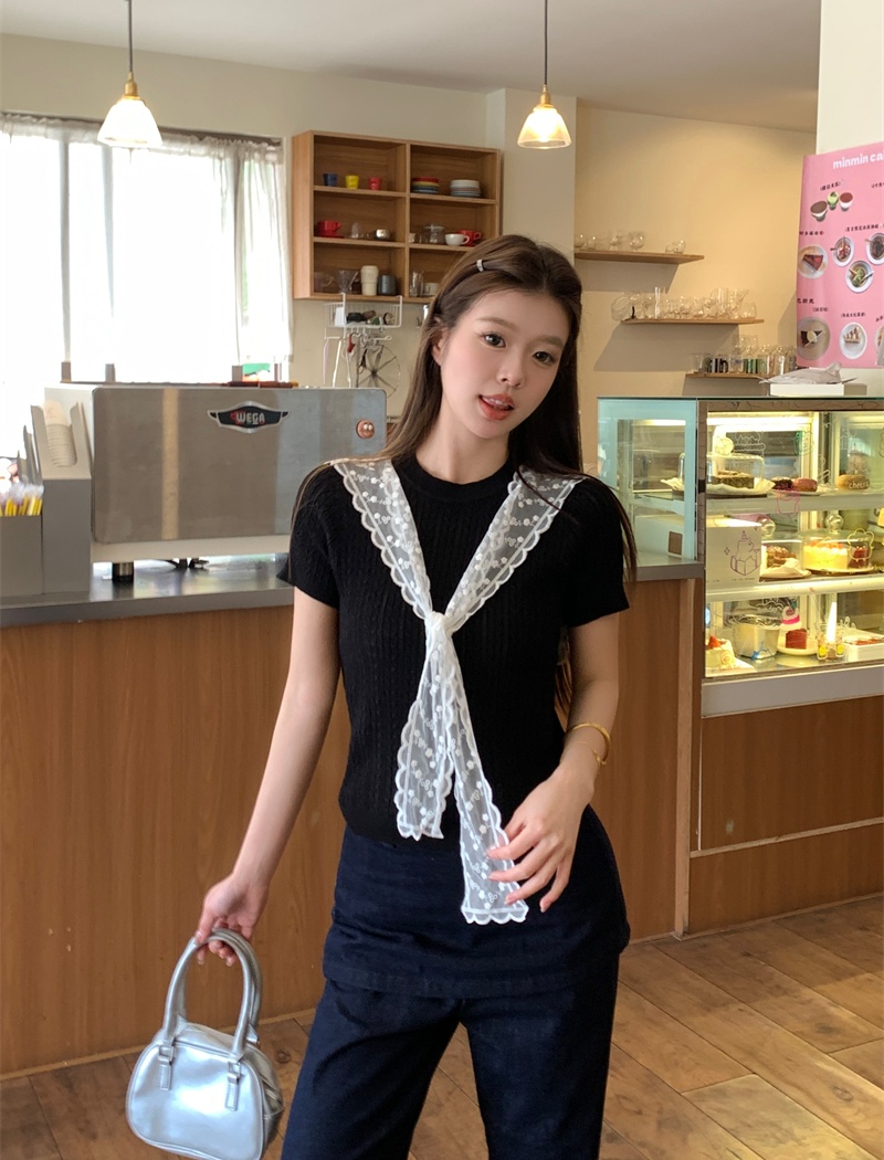 Temperament short sleeve sweater slim Korean style tops