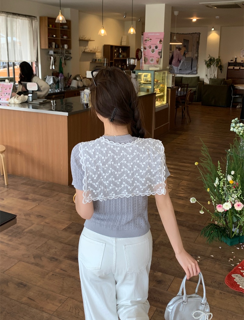 Temperament short sleeve sweater slim Korean style tops