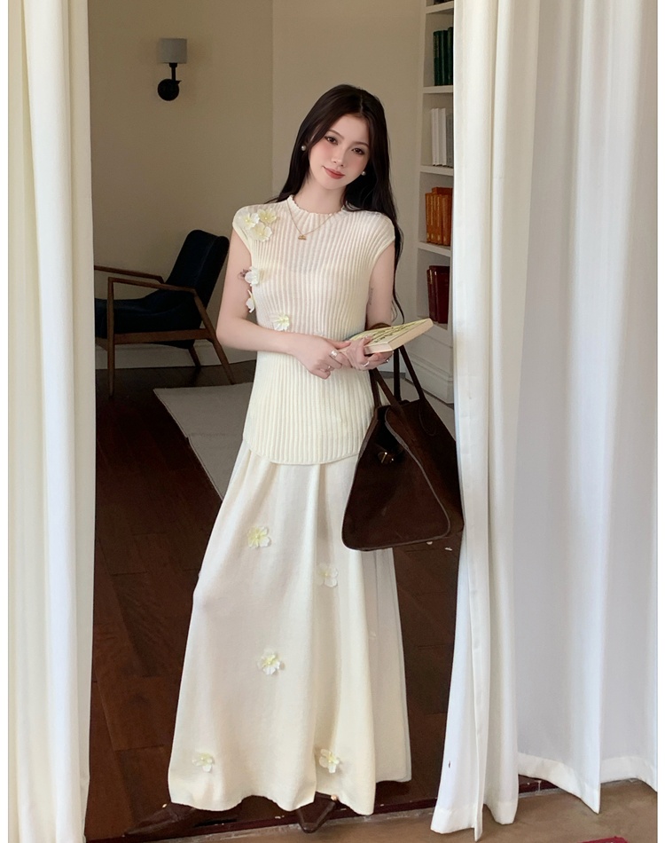 Long vest France style skirt 2pcs set for women