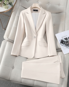 Temperament slim business suit 2pcs set for women