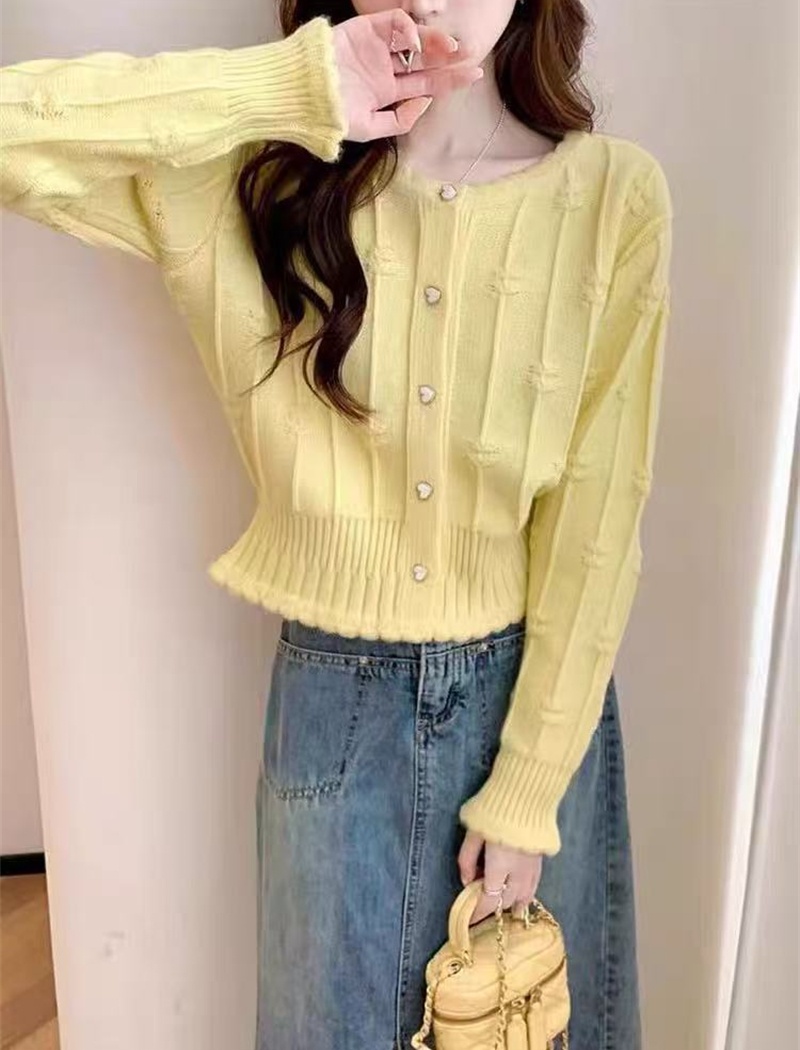 Korean style niche knitted coat unique short autumn tops