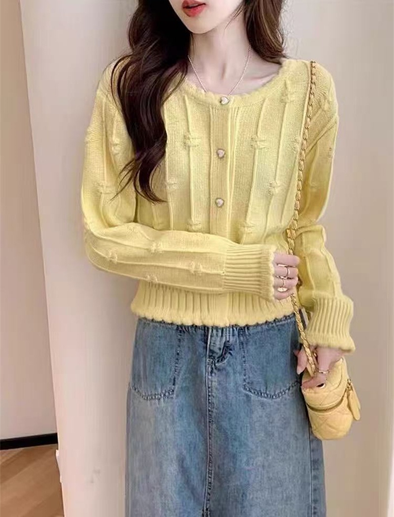 Korean style niche knitted coat unique short autumn tops