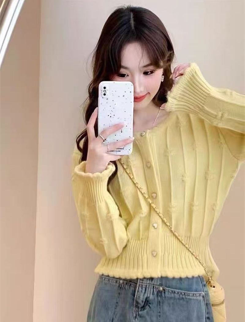 Korean style niche knitted coat unique short autumn tops