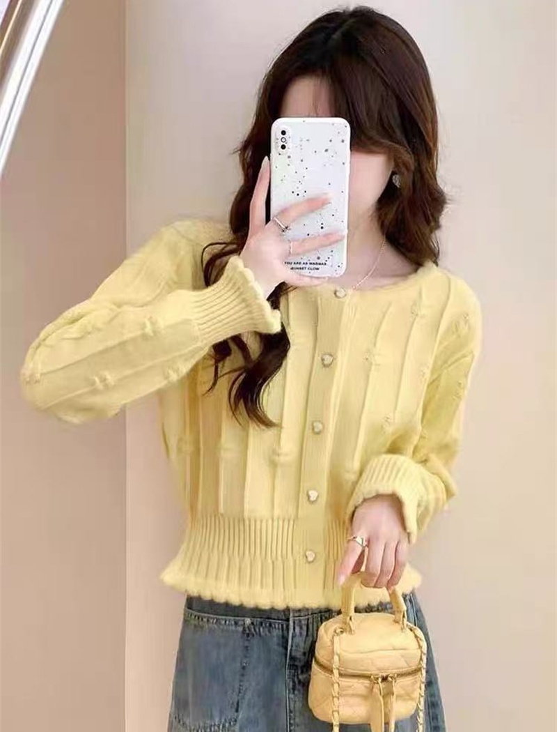 Korean style niche knitted coat unique short autumn tops
