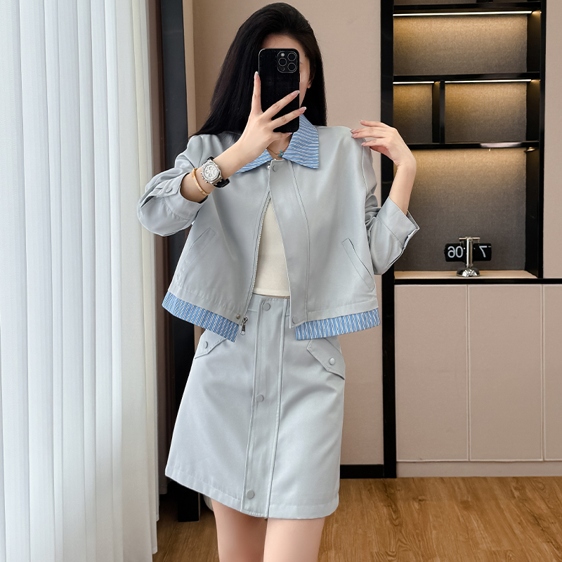 Temperament slim show young skirt 2pcs set