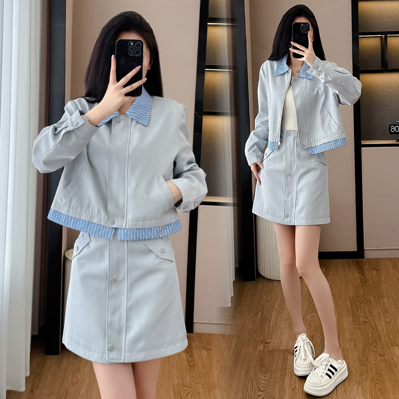 Temperament slim show young skirt 2pcs set