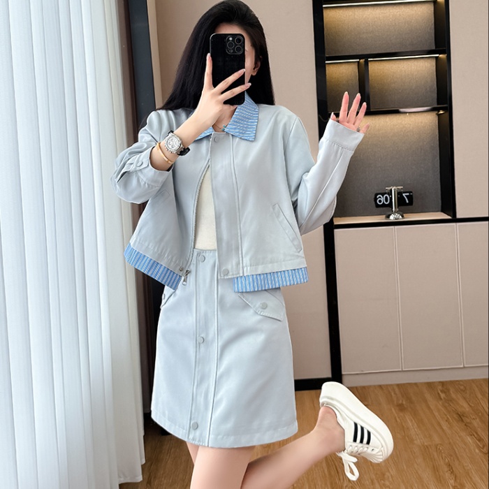 Temperament slim show young skirt 2pcs set