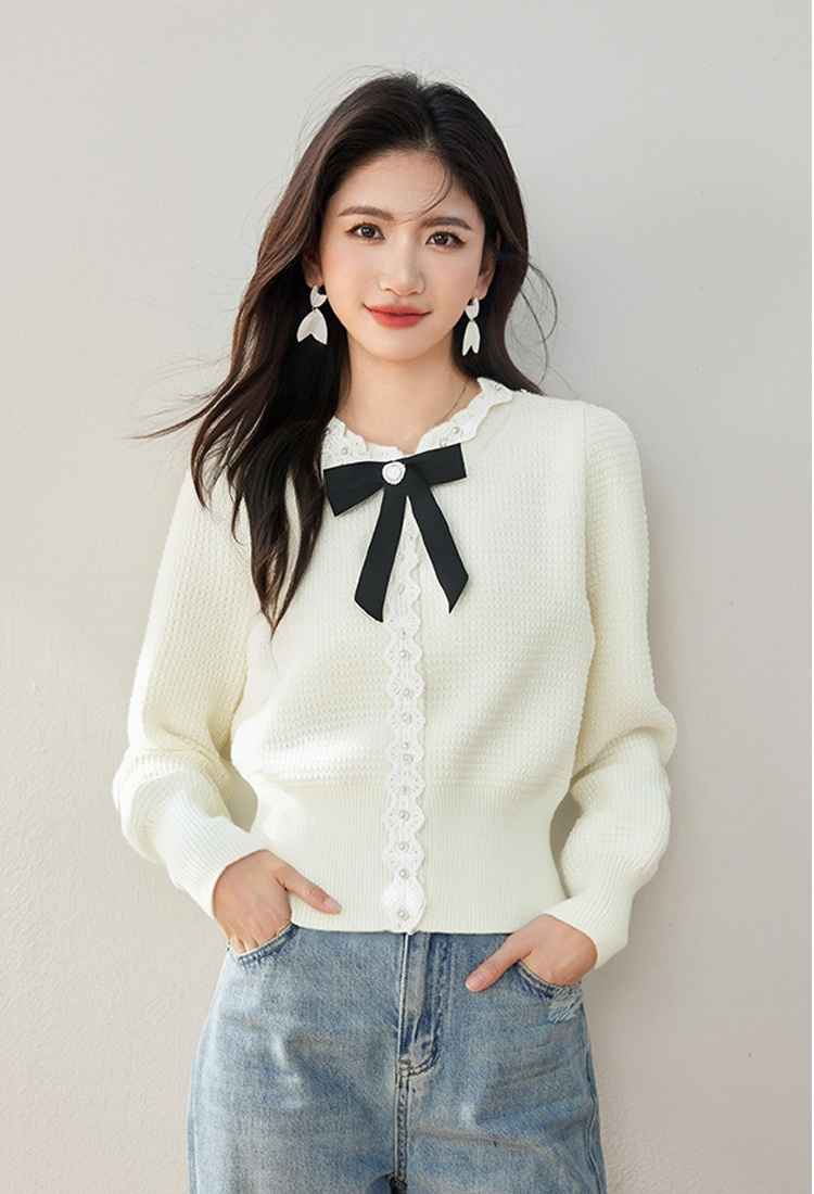 Autumn and winter tops sweater for women