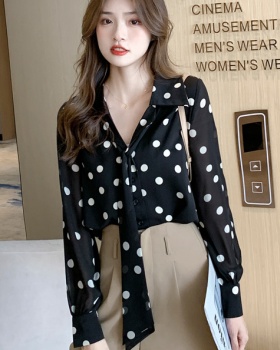 Polka dot lantern sleeve shirt chiffon tops for women