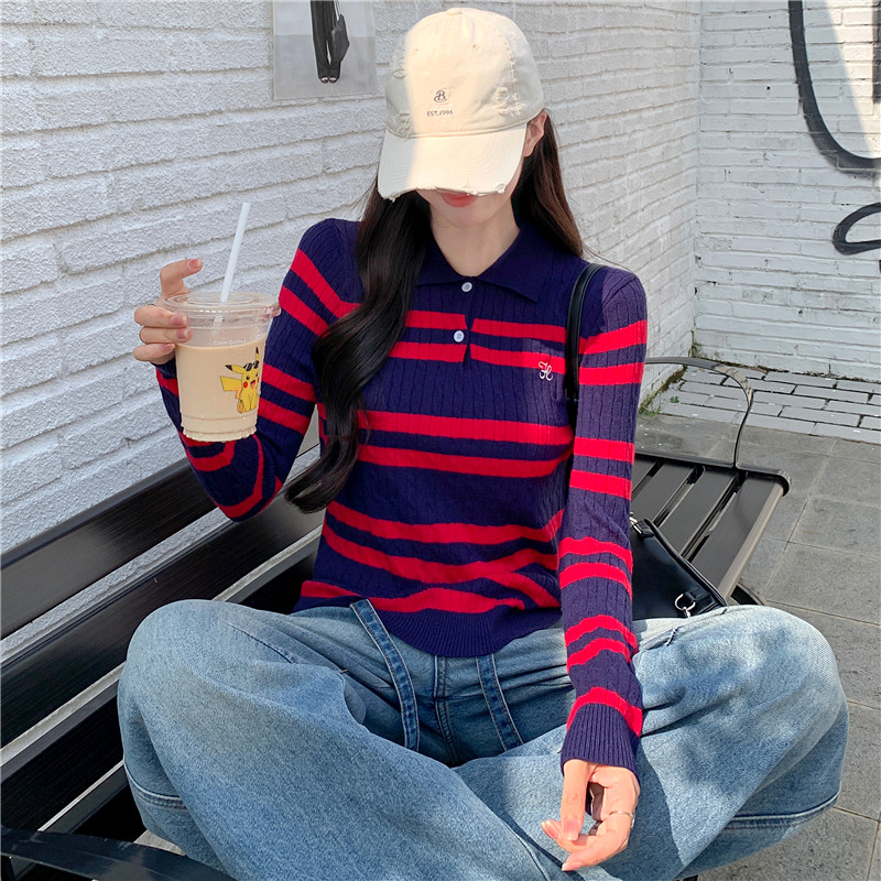 Temperament stripe bottoming shirt embroidery sweater