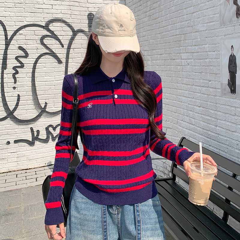 Temperament stripe bottoming shirt embroidery sweater