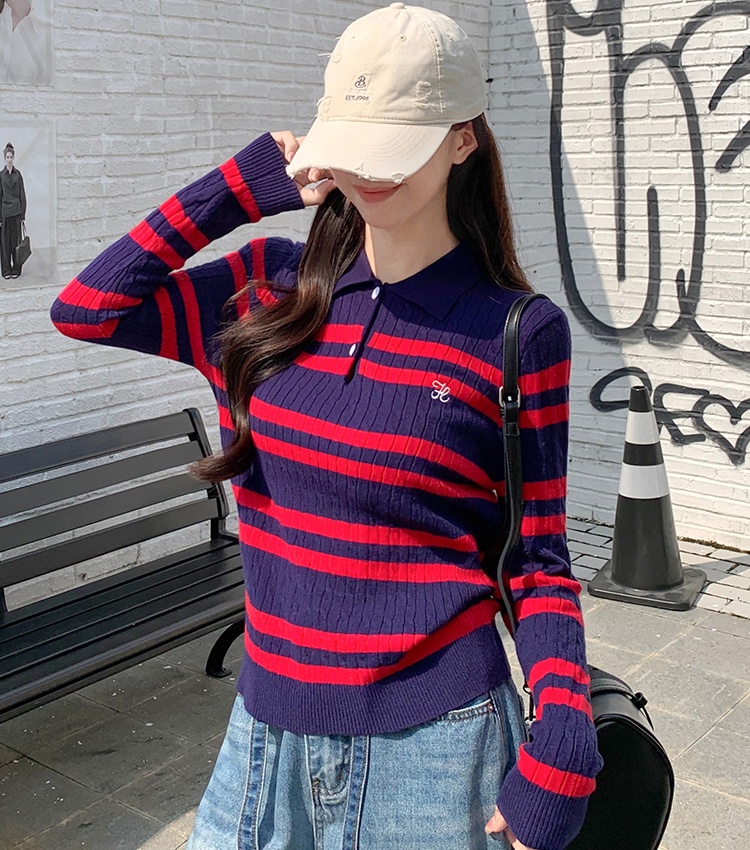 Temperament stripe bottoming shirt embroidery sweater