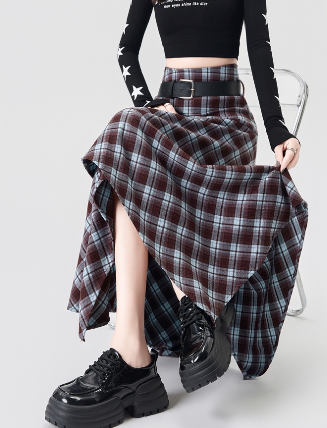 Plaid long skirt Korean style skirt for women