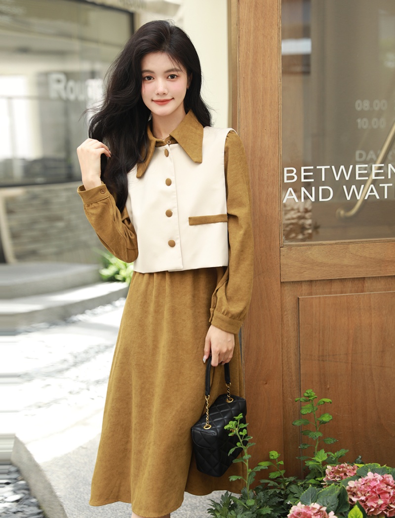 Korean style waistcoat shirt 2pcs set for women