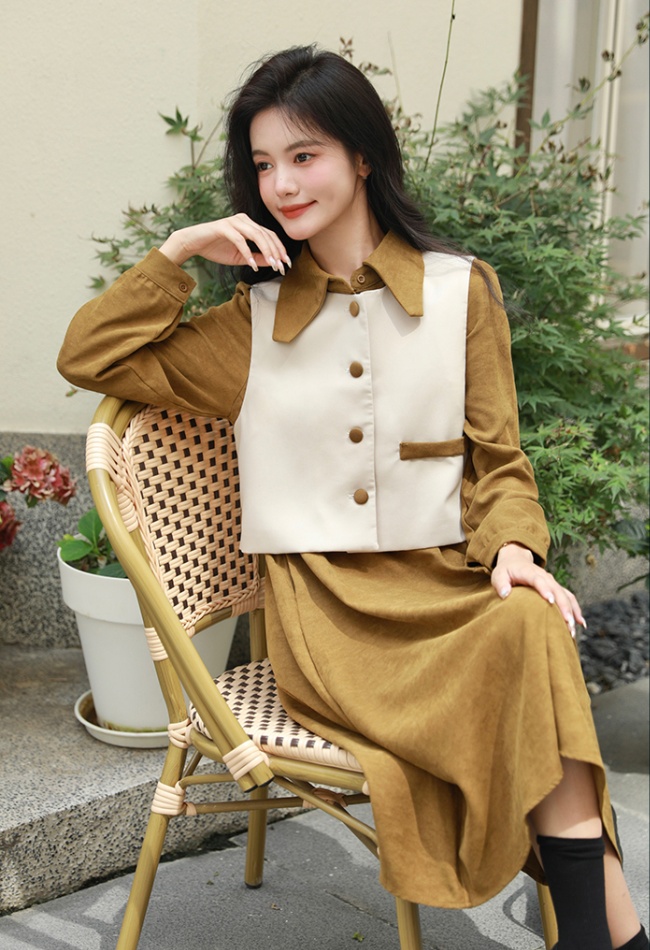 Korean style waistcoat shirt 2pcs set for women