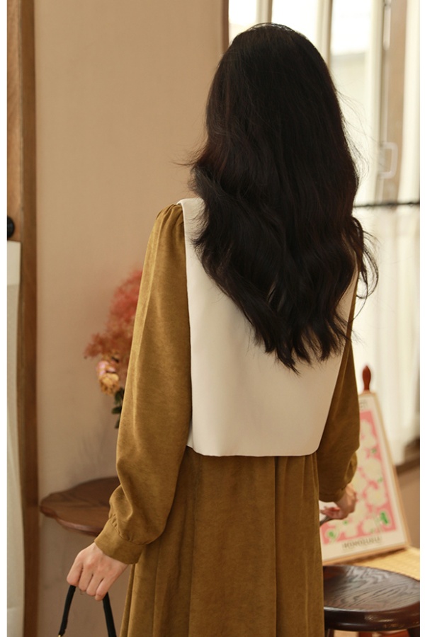 Korean style waistcoat shirt 2pcs set for women
