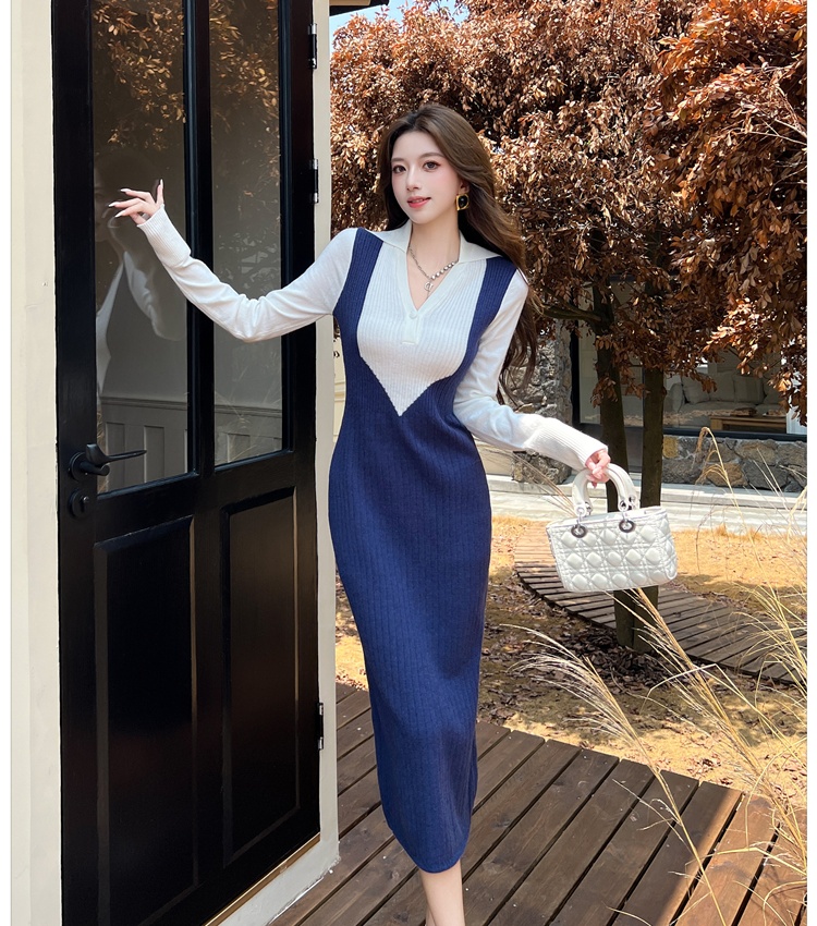 Pinched waist France style bottoming autumn dress for women